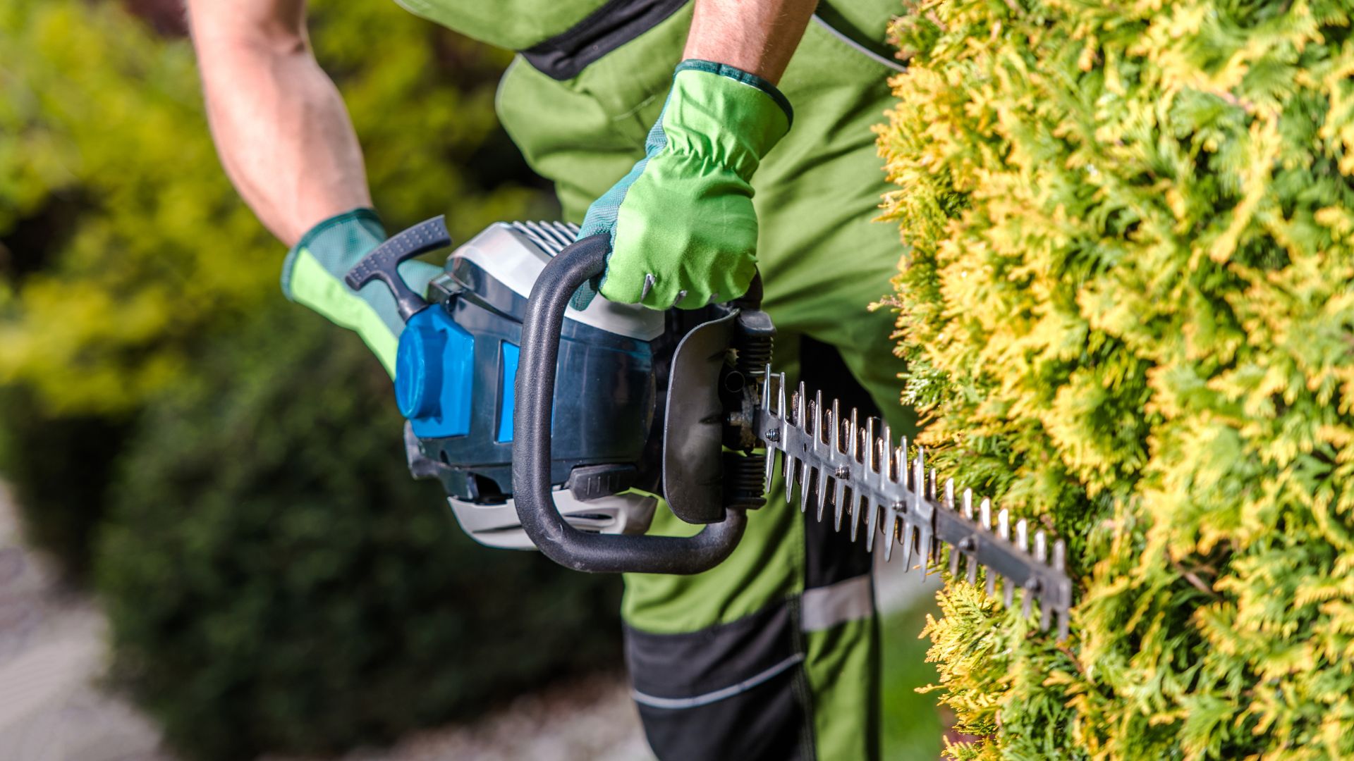 RC24-GmbH Horb - Elektrotechnik - Renovierung - Gartenpflege - Hausmeisterservice