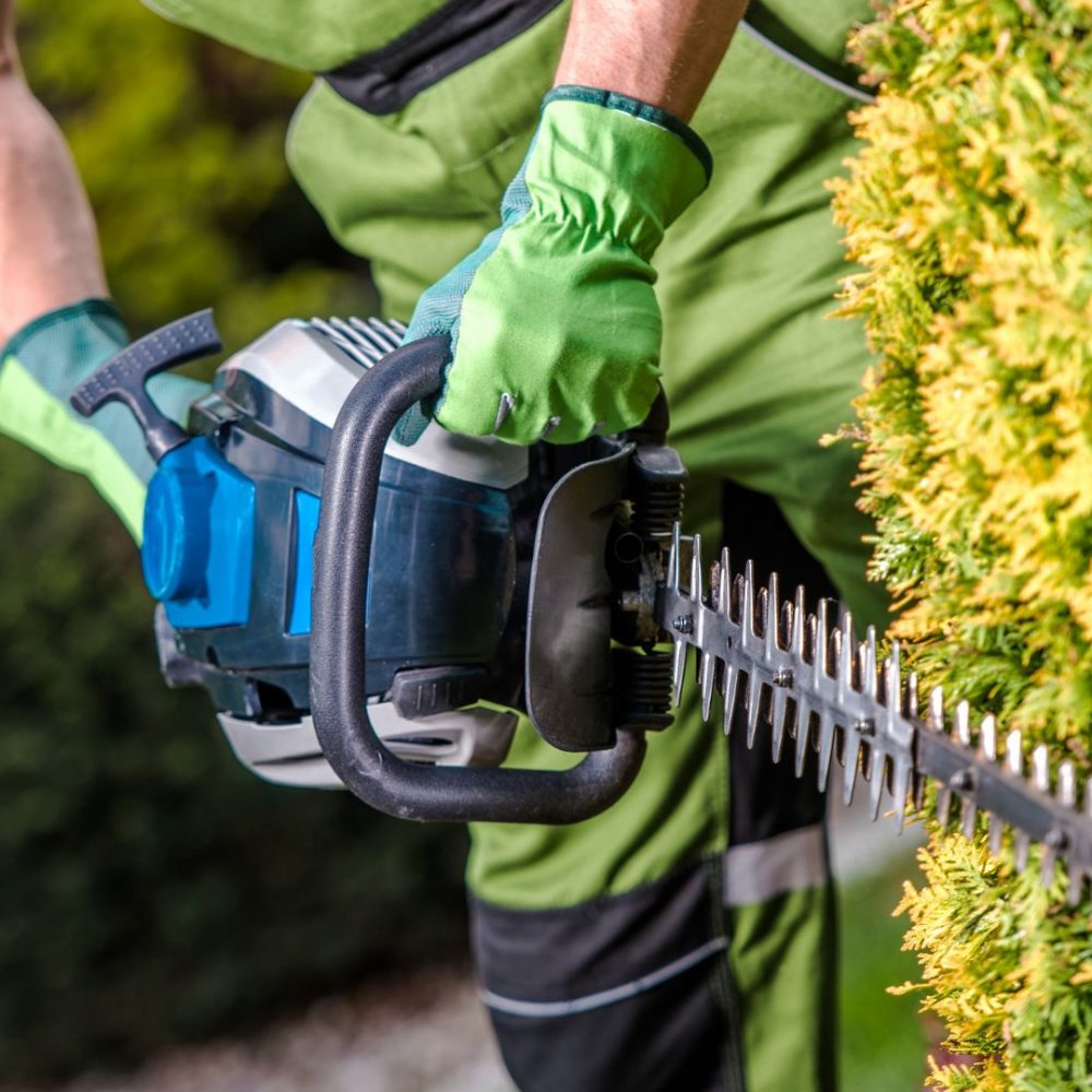 RC24-GmbH Horb - Elektrotechnik - Renovierung - Gartenpflege - Hausmeisterservice